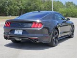 Used 2022 Ford Mustang Coupe w/ Equipment Group 101A image 5
