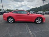 Certified 2019 Ford Mustang Coupe image 3