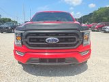 Used 2021 Ford F150 XLT w/ Equipment Group 302A High image 2