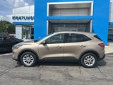 Used 2020 Ford Escape SE image 3