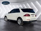 Used 2014 Mercedes-Benz ML 350 2WD image 3
