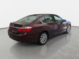 Used 2014 Honda Accord EX-L image 5