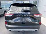 Used 2020 Ford Escape Titanium image 4