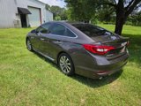 Used 2016 Hyundai Sonata Sport w/ Option Group 1V image 3