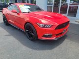 Used 2016 Ford Mustang Coupe w/ Ecoboost Performance Package image 2