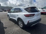 Used 2024 Ford Escape Active image 5