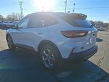 New 2025 Ford Escape ST-Line w/ Tech Pack #1 image 5