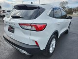 Used 2022 Ford Escape SE w/ Convenience Package image 3