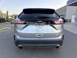 Used 2020 Ford Edge Titanium w/ Cargo Accessory Package image 4