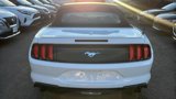 Used 2023 Ford Mustang Premium image 5
