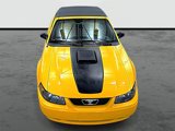 Used 2004 Ford Mustang GT image 6
