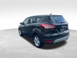 Used 2015 Ford Escape SE image 3