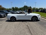 Used 2015 Ford Mustang Convertible w/ Equipment Group 051A image 5