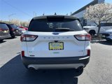 Certified 2020 Ford Escape SE image 6
