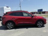 New 2025 Ford Escape ST-Line w/ Tech Pack #1 image 2
