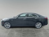 New 2025 Cadillac CT4 Premium Luxury image 2