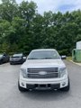 Used 2012 Ford F150 Platinum image 2