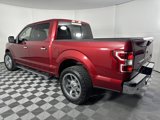 Used 2019 Ford F150 XLT w/ Equipment Group 302A Luxury image 3