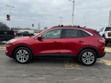 Used 2022 Ford Escape SEL w/ Technology Package image 5