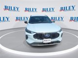 New 2025 Ford Escape ST-Line w/ Cold Weather Package image 3