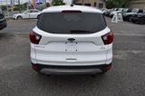 Used 2019 Ford Escape SE image 5