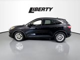 Used 2020 Ford Escape SE image 4
