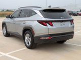Used 2024 Hyundai Tucson SEL image 5