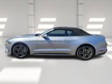 Used 2023 Ford Mustang Premium image 4