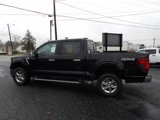 New 2024 Ford F150 XLT w/ Equipment Group 302A MID image 4
