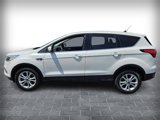 Used 2019 Ford Escape SE image 4