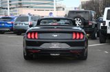 Used 2022 Ford Mustang Premium image 4