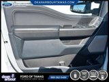Certified 2022 Ford F150 XLT w/ Equipment Group 302A High image 4