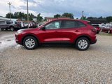 New 2025 Ford Escape Active w/ Cold Weather Package image 5