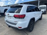 Used 2019 Jeep Grand Cherokee Trailhawk w/ Trailhawk Luxury Group image 4
