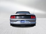 Used 2022 Ford Mustang Premium image 4
