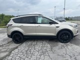 Used 2018 Ford Escape SE w/ SE Sport Appearance Package image 2
