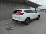 Used 2019 Honda CR-V Touring image 6