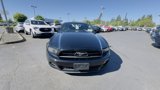 Used 2014 Ford Mustang Premium w/ Equipment Group 202A image 3