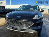 Used 2022 Ford Escape SE w/ Convenience Package image 2