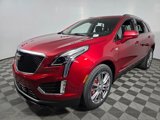 New 2025 Cadillac XT5 Sportv w/ Technology Package image 3