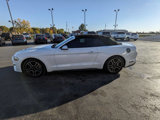Used 2018 Ford Mustang Premium w/ Equipment Group 201A image 5