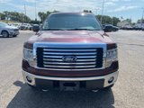 Used 2010 Ford F150 XLT image 2