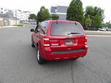 Used 2011 Ford Escape XLT w/ 203A Rapid Spec Order Code image 5
