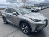 Used 2020 Lexus NX 300h AWD w/ Premium Package image 3