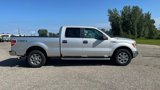 Used 2014 Ford F150 XLT w/ Equipment Group 302A Luxury image 3