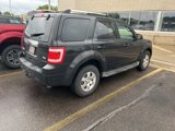 Used 2011 Ford Escape Limited w/ 301A Rapid Spec Order Code image 3