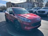 Used 2022 Ford Escape SE w/ SE Sport Appearance Package image 3