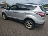 Used 2017 Ford Escape SE w/ Equipment Group 201A image 4