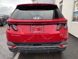 Used 2022 Hyundai Tucson SEL image 4