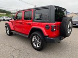 Used 2019 Jeep Wrangler Unlimited Sahara image 6